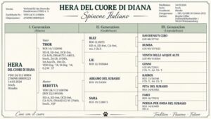 Hera del cuore di Diana